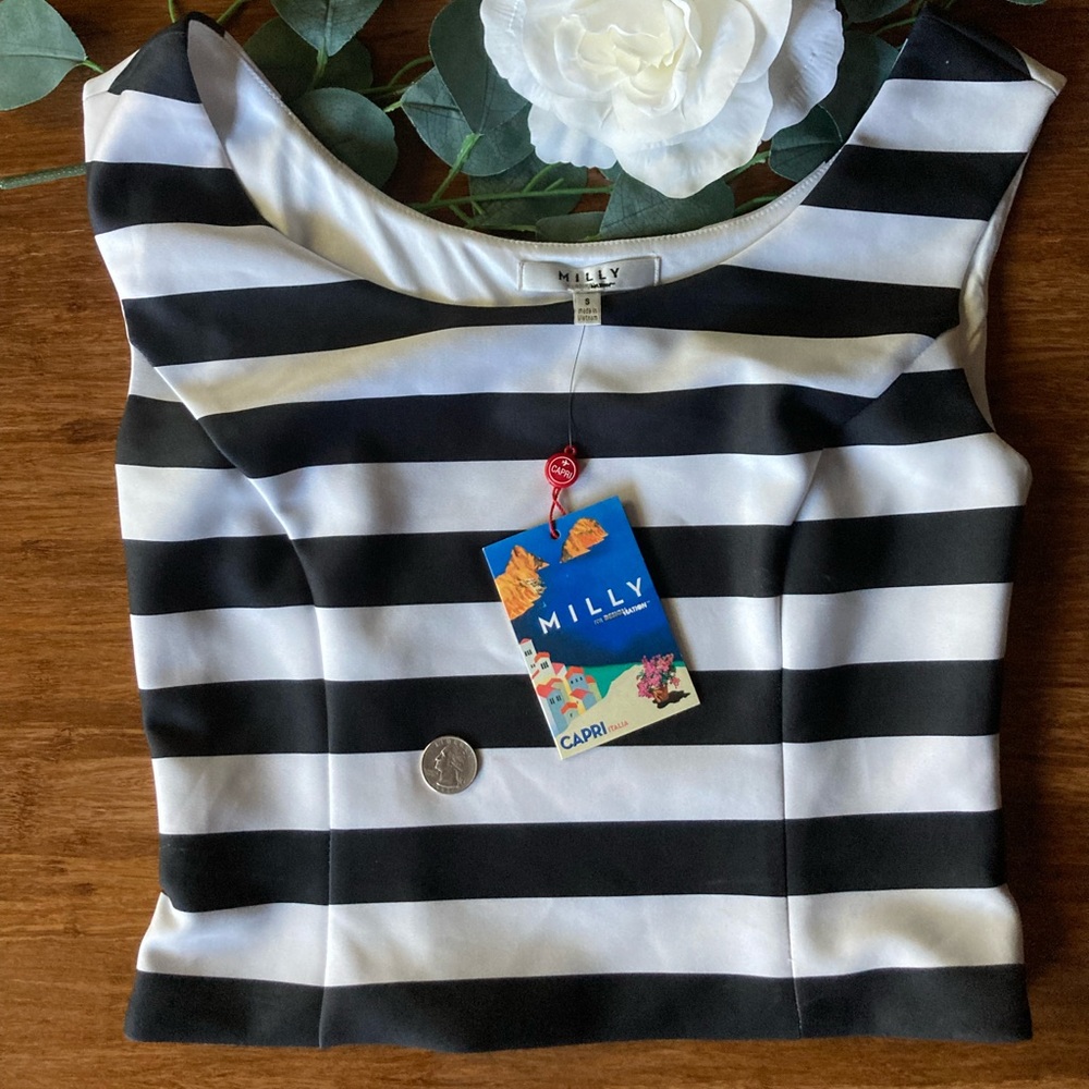 Milly Black and White Striped Top. Size S. - Picture 9 of 10